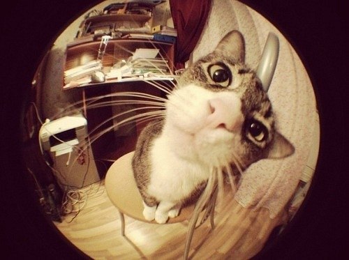 Денис Сучков | Москва