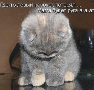 Андрей Мищенко | Мариуполь