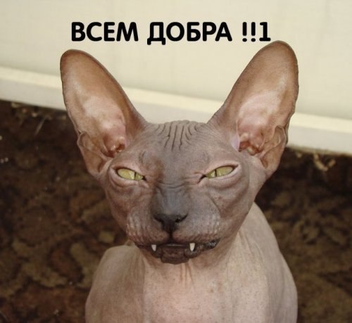 №52, Гоша Пархоменко, Санкт-Петербург №52, Гоша Пархоменко, Санкт-Петербург