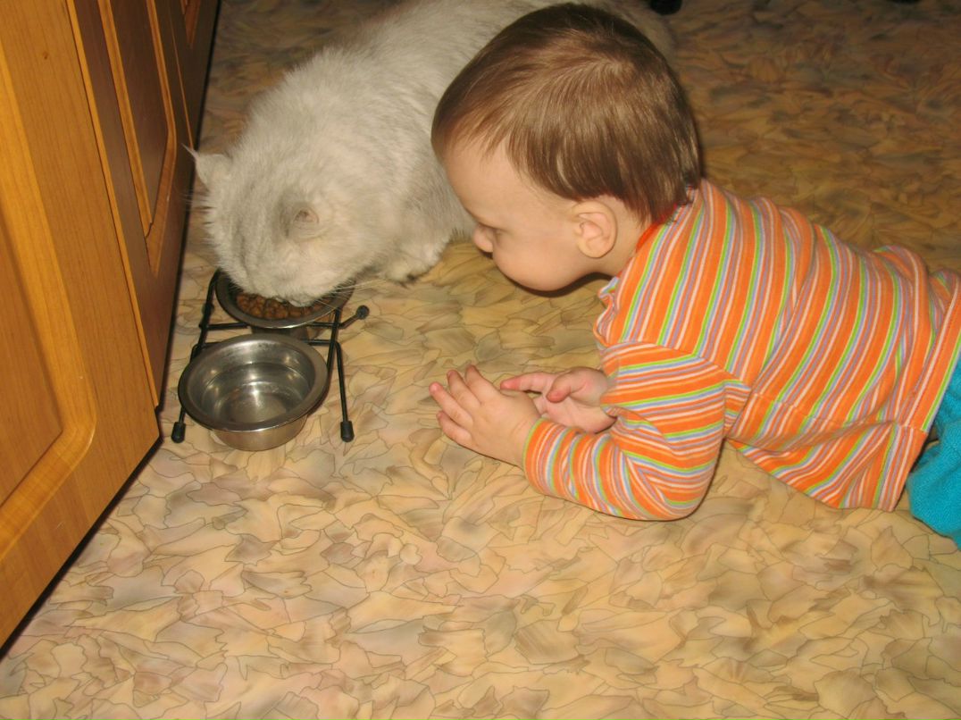 Алексей Кацапов | Чехов