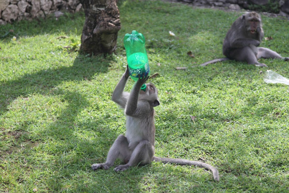Любаша Солдатова | Москва