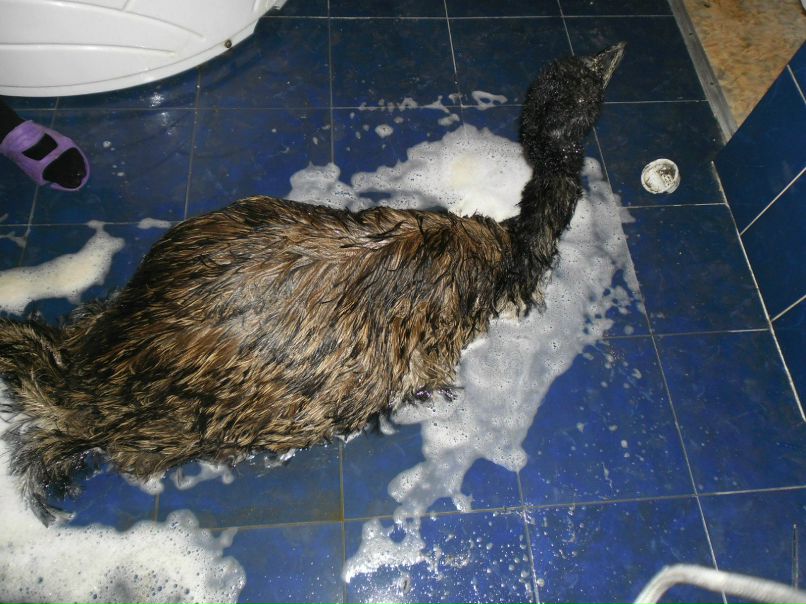 Лидия Скворцова | Санкт-Петербург