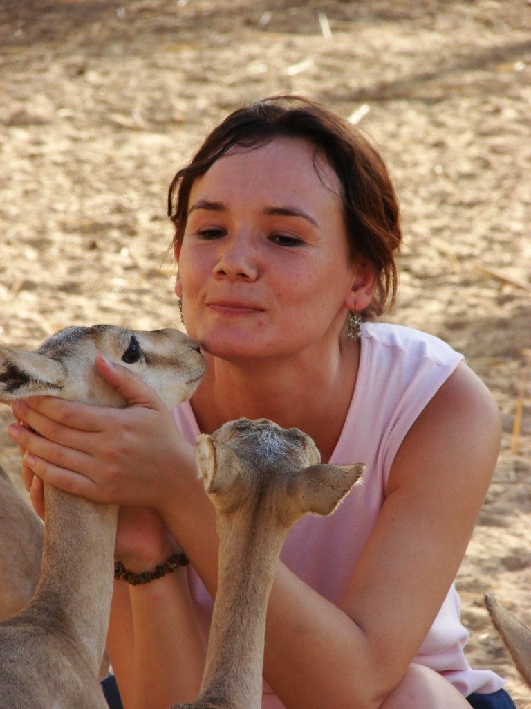 Лилия Лилия | 