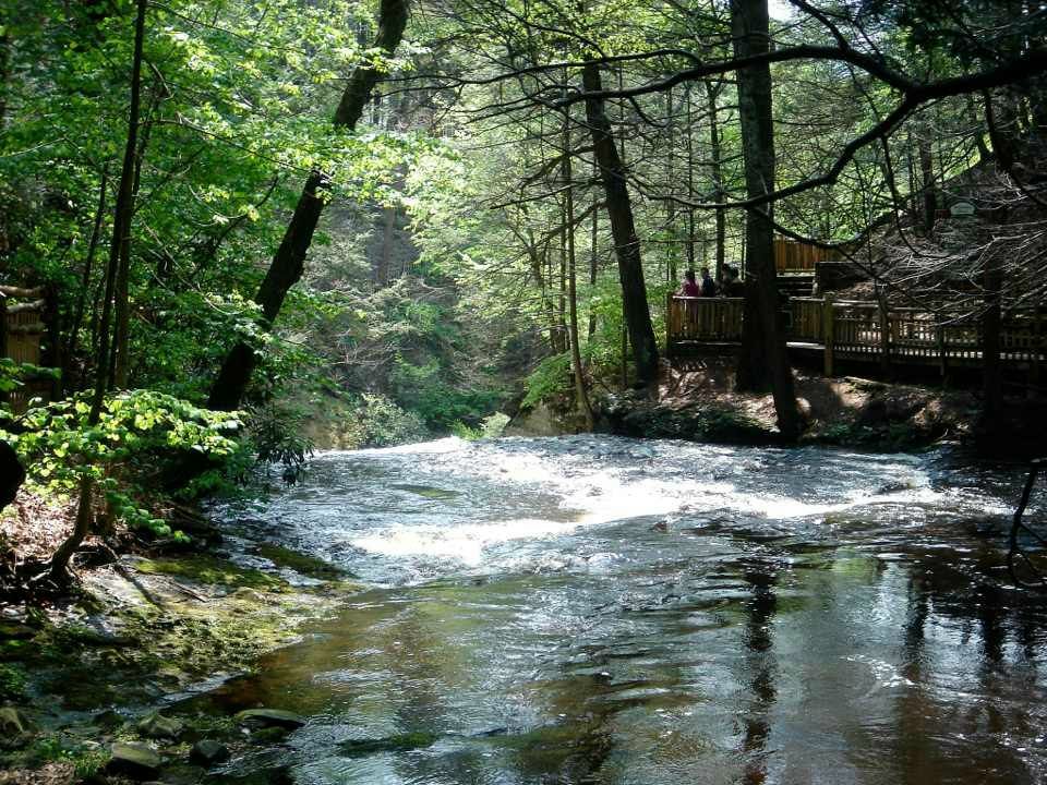 Василий Бессонов | New York City