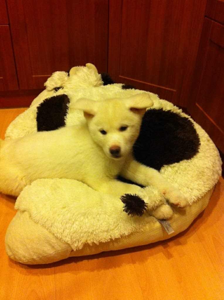 Александр Окатов | Каменск-Уральский