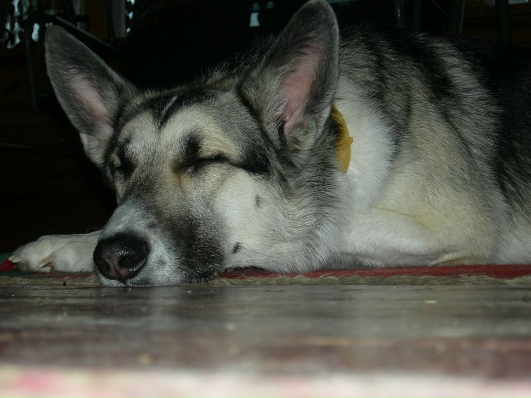 Евгения Русалина | Москва