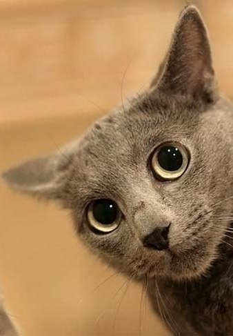 Елена Малышева | Ярославль