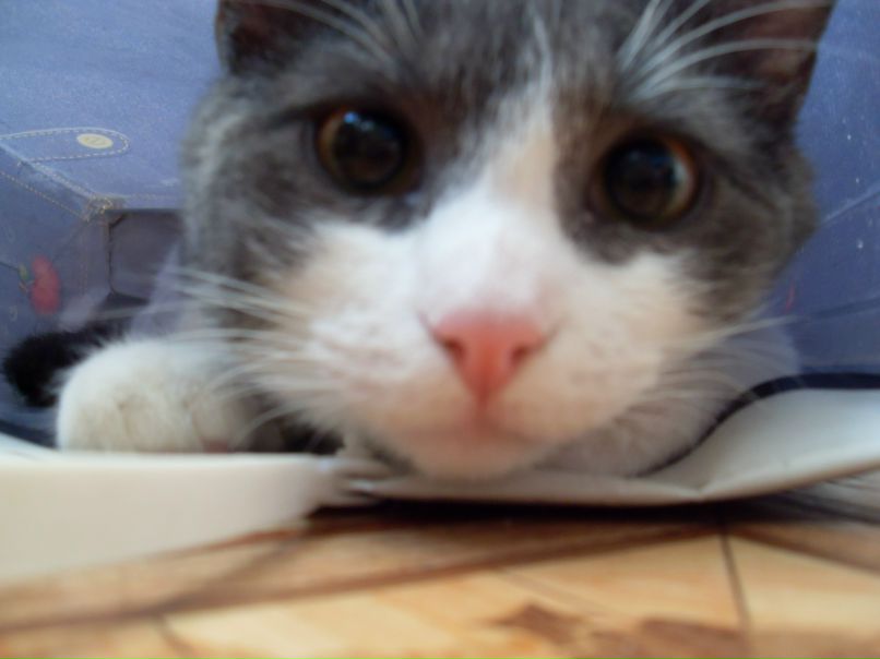 Андрей Громаков | Славный