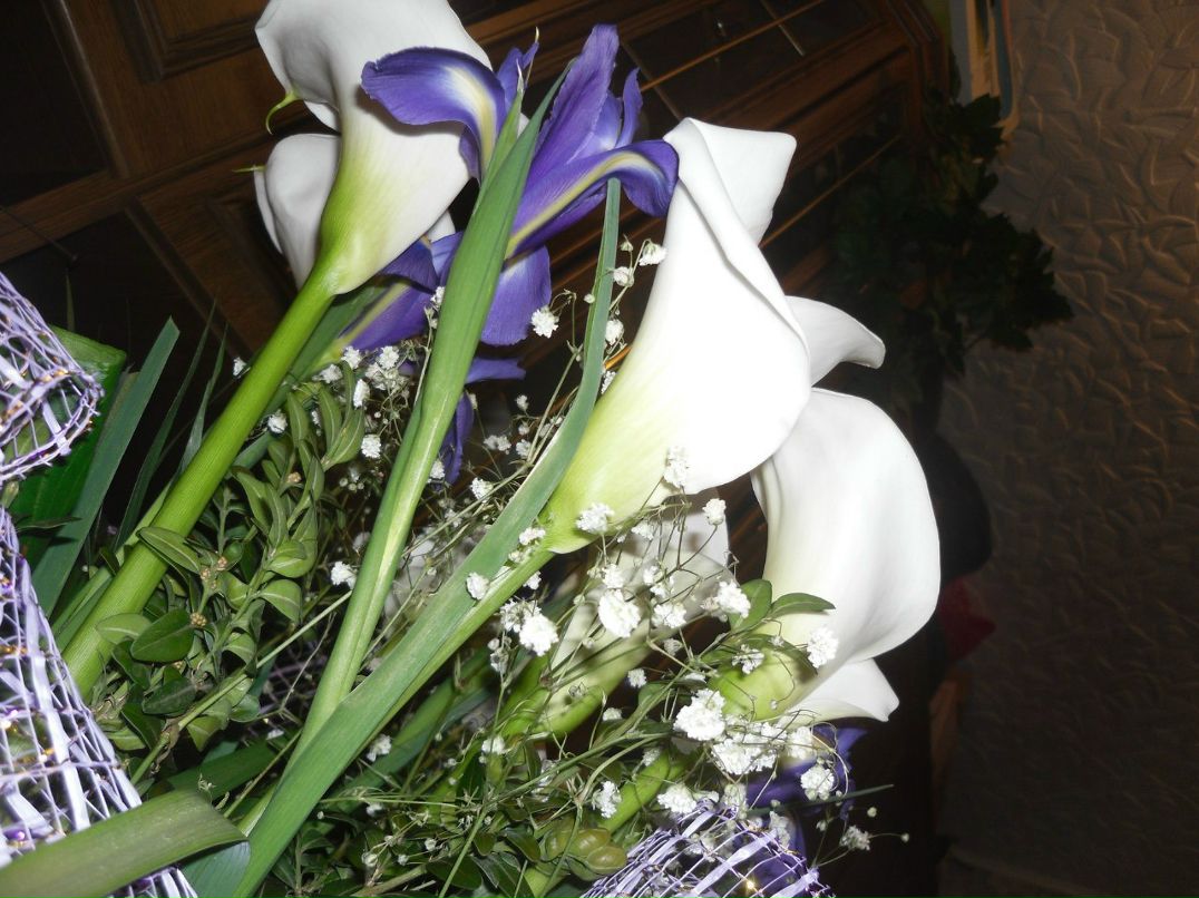 Валентина Быкова ☜(ړײ)☞ TINKA | Львов