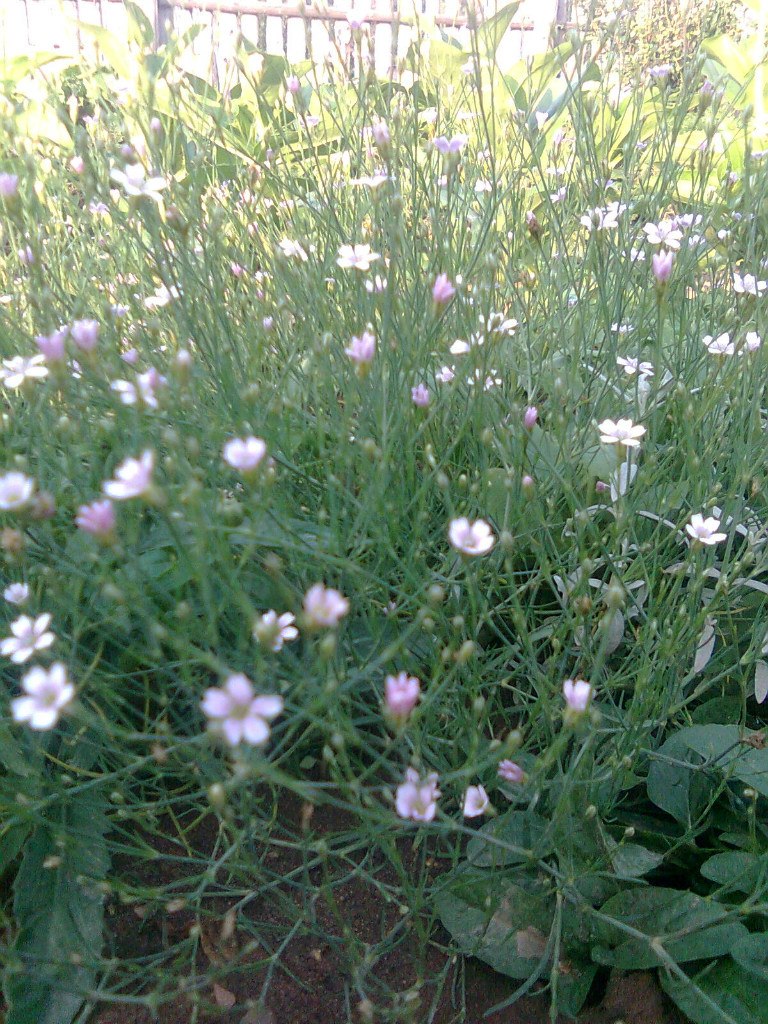 Мальвина Кудрявцева | Ижевск