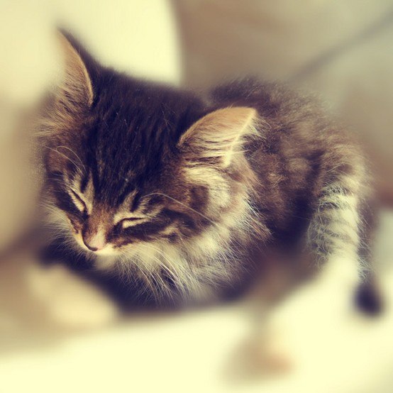 №67, Дина Лиманова, 40 лет №67, Дина Лиманова, 40 лет