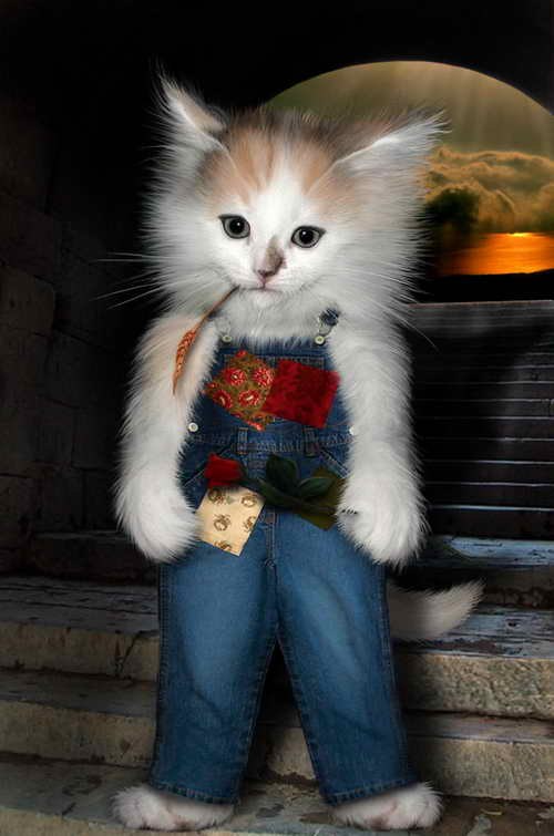 Николай Мальчиков | Санкт-Петербург