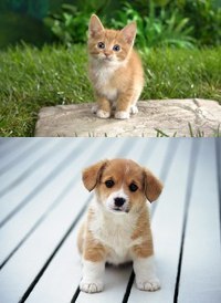 Дмитрий Чечурин | Липецк