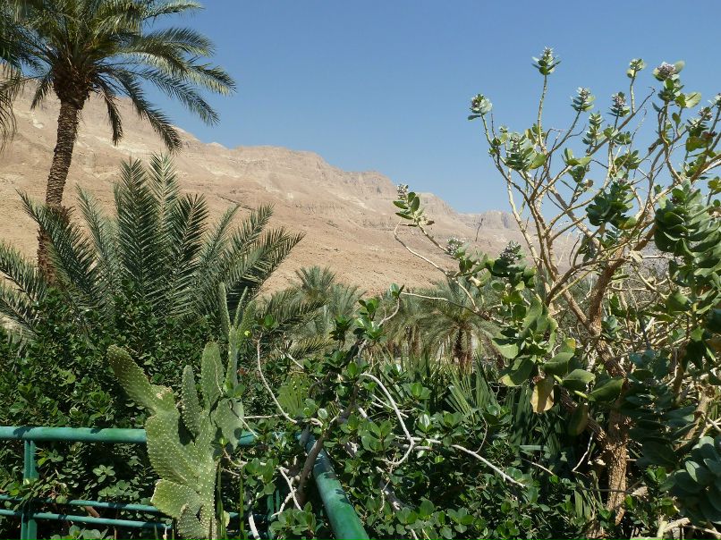 Арина Исаева | Москва