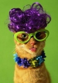 Лена Волкова | Москва