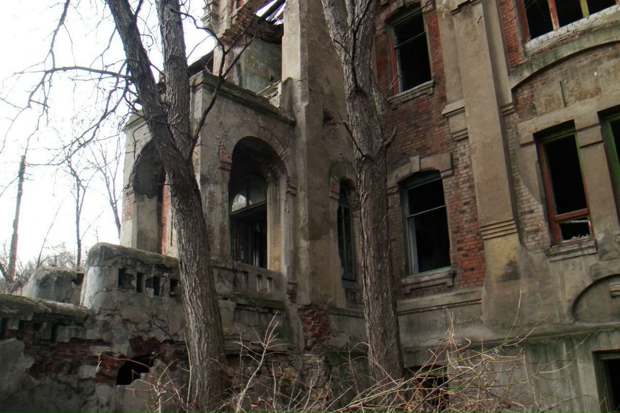 Денис Логвинов | 