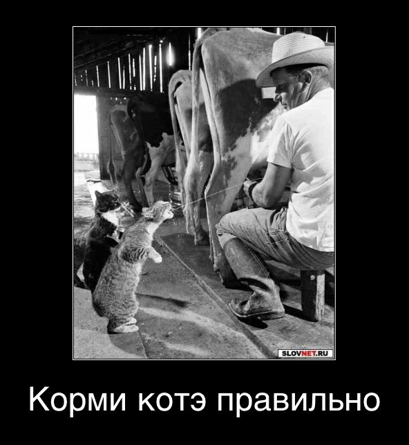 Фандас Ахметзянов | Апастово