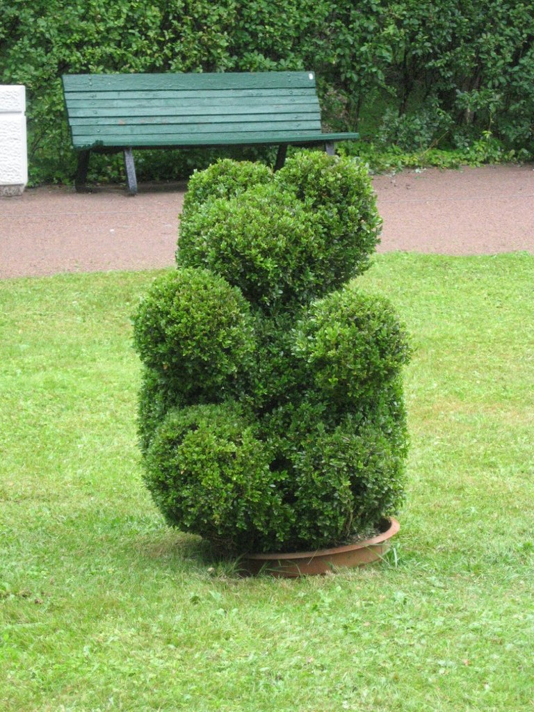 Ольга Лазарева | Йошкар-Ола