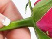 Кристина Петраш | Запорожье