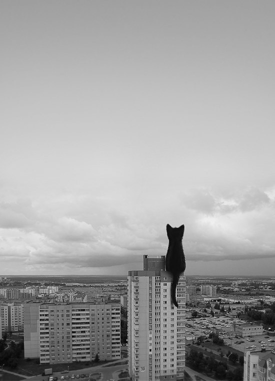 Олег Антоневич Not foUnd | Красноярск