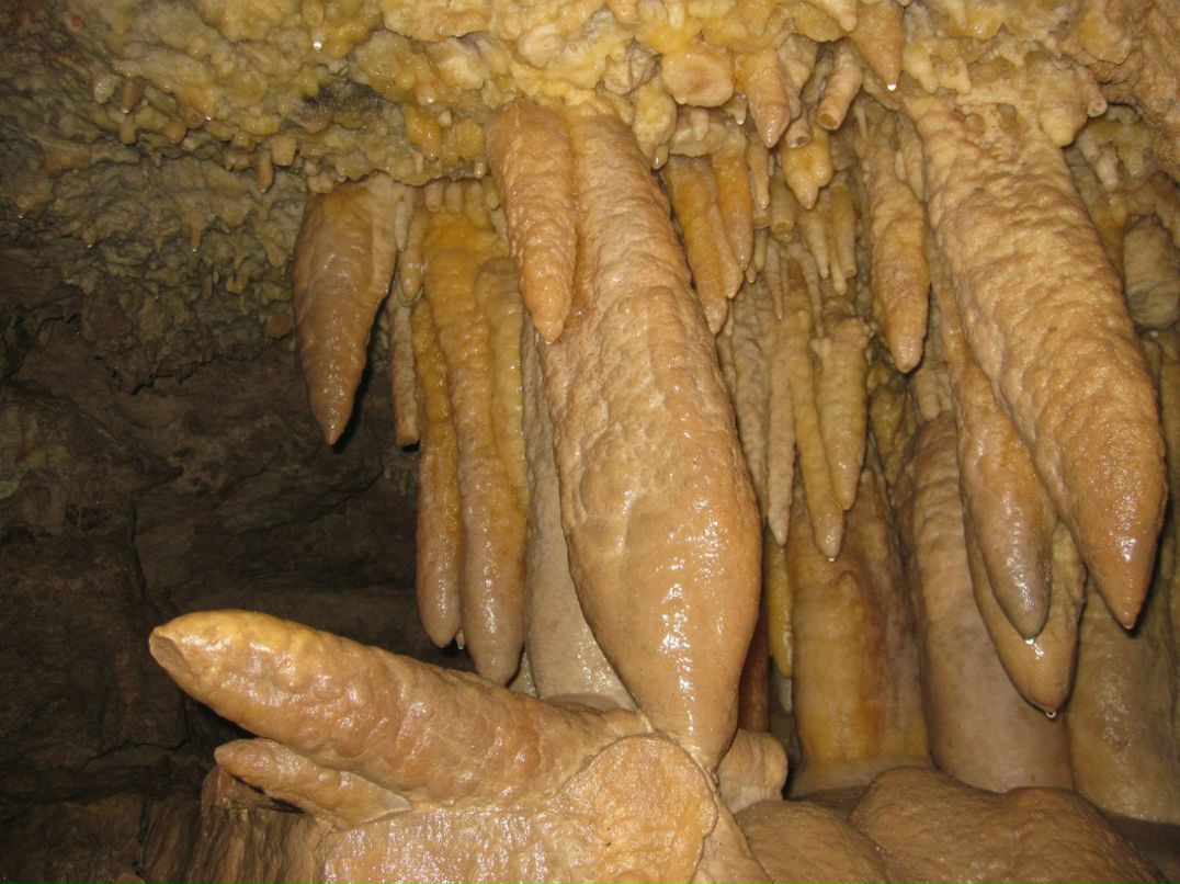 Аня Деркач | Киев