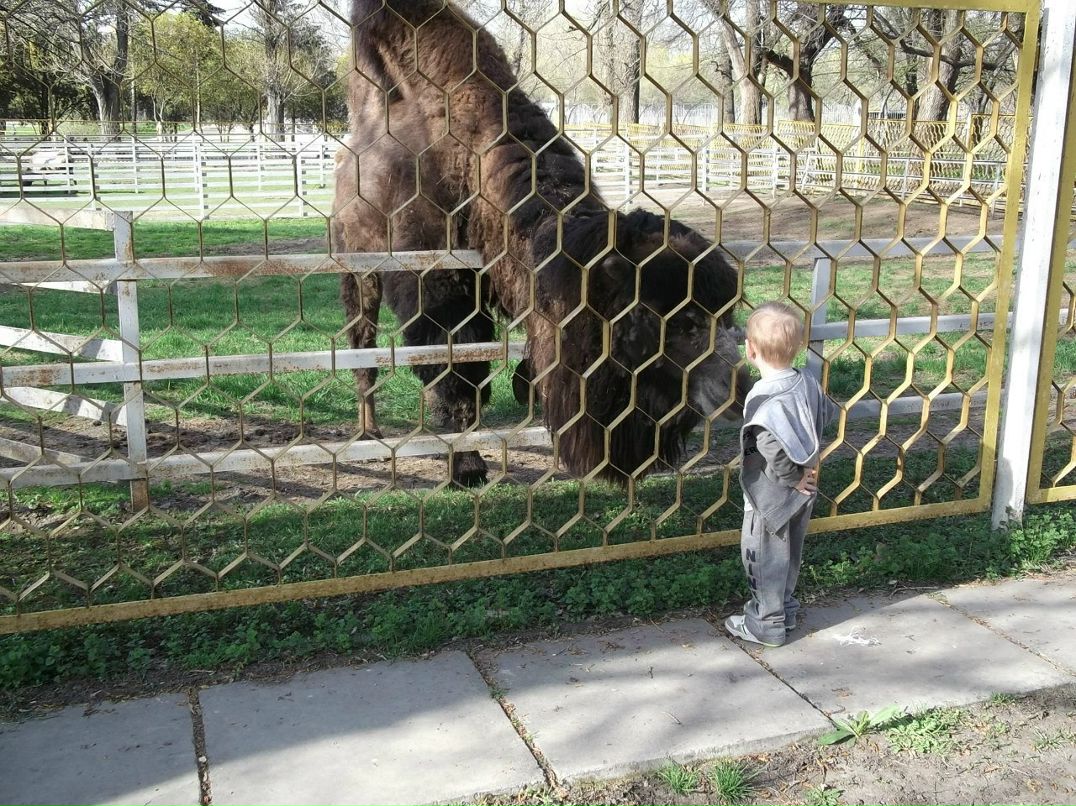 Надежда Поддубная | Миллерово