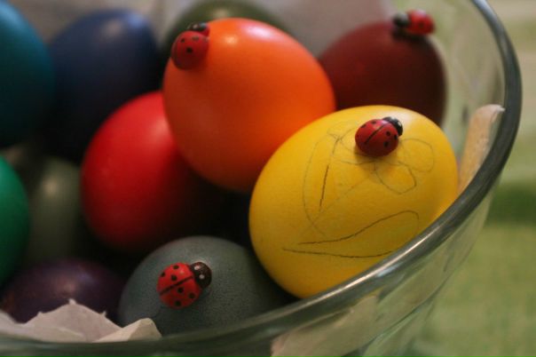 №200, Марина Рысь, 37 лет №200, Марина Рысь, 37 лет