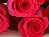 Кристина Петраш | Запорожье