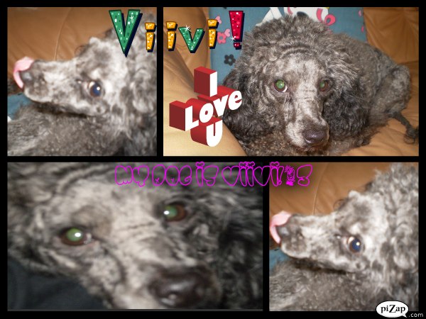 Natalia Timonen | Suomussalmi