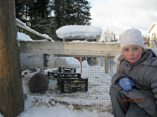 Александр Тарасов | Сергач