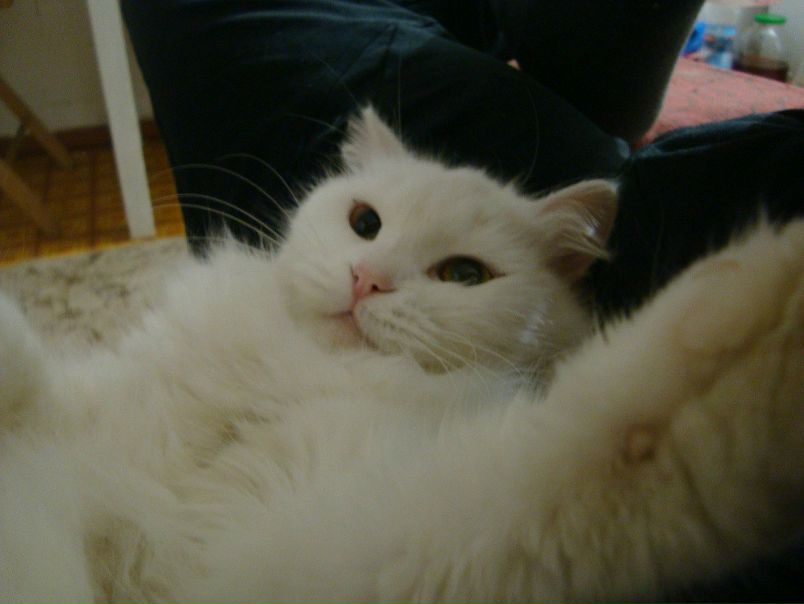 №125, Артем Троицкий, Херсон №125, Артем Троицкий, Херсон