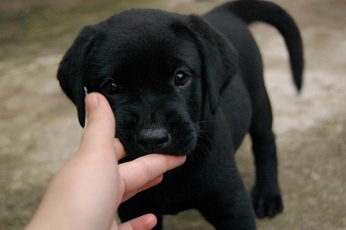 №111, Катерина Королёва, 40 лет, Саратов №111, Катерина Королёва, 40 лет, Саратов