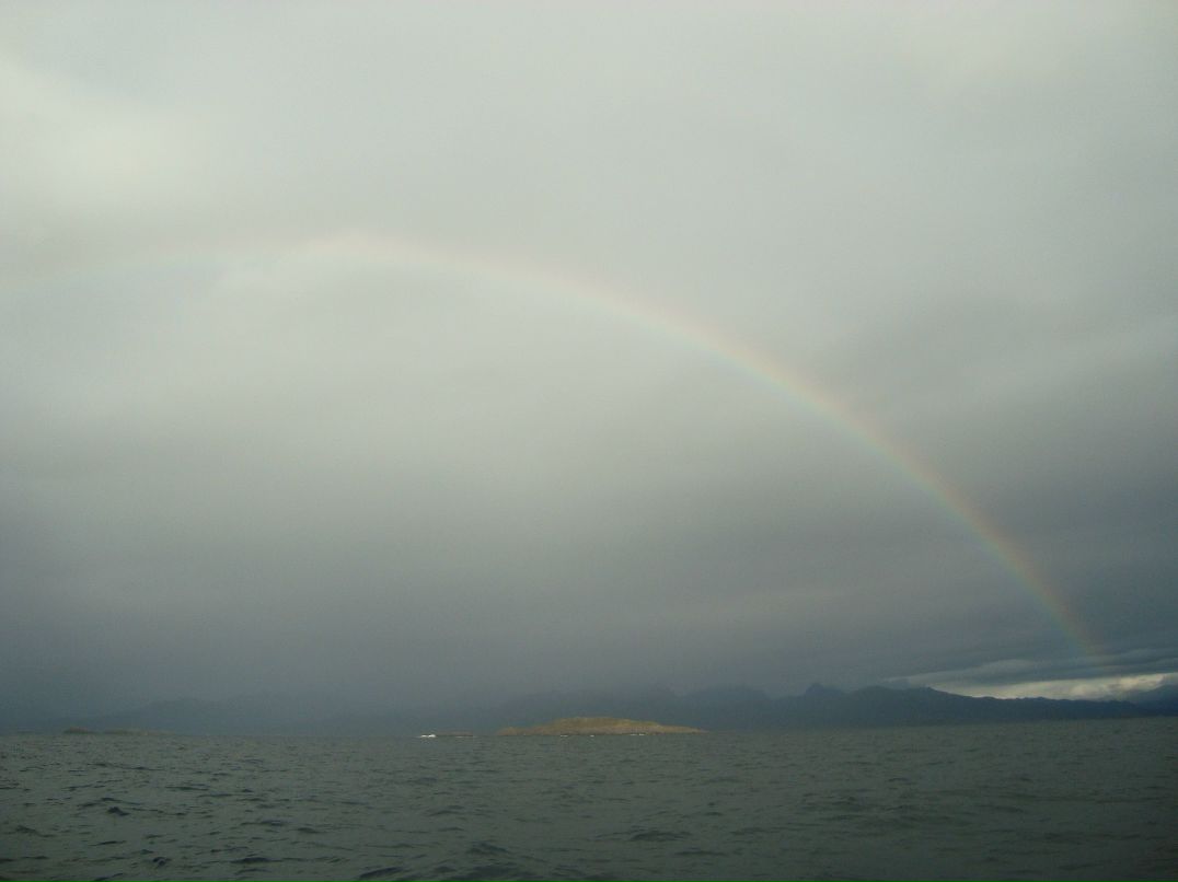 Александр Воробьев | Санкт-Петербург