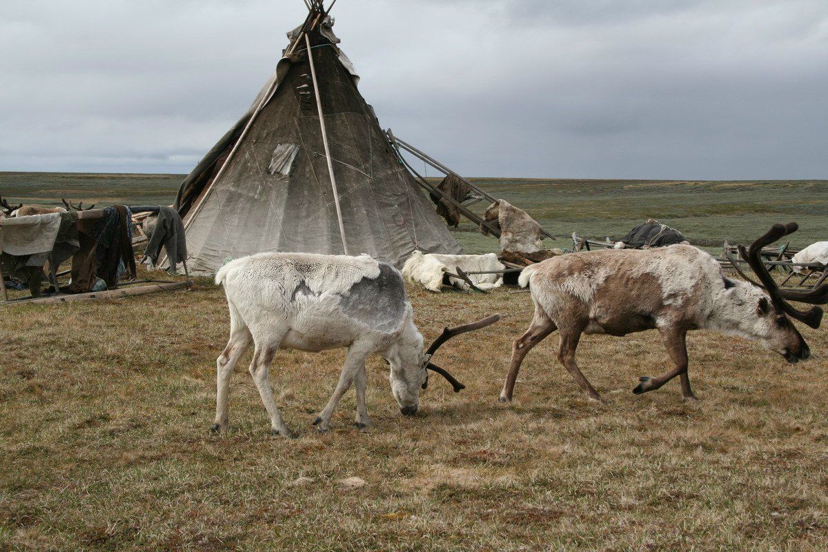 Ильдар Шайхутдинов | Урай
