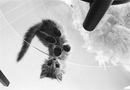 №9 Анюта Васильева 04.02.1996: профиль, фото, статус - ВКонтакте