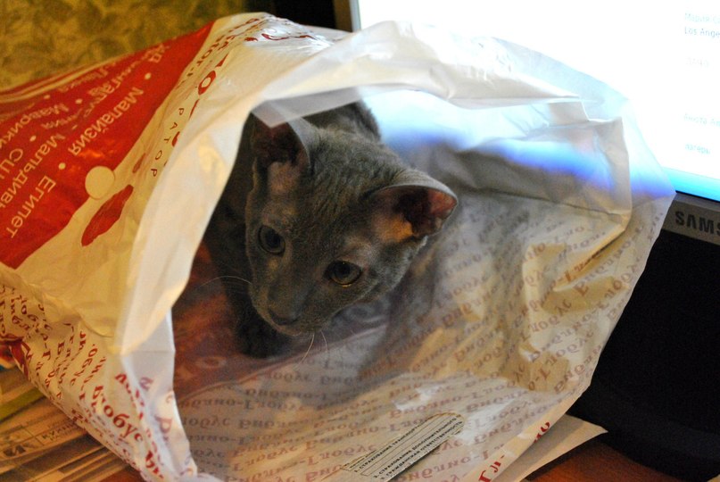 Ирина Капранова ▲ | Москва