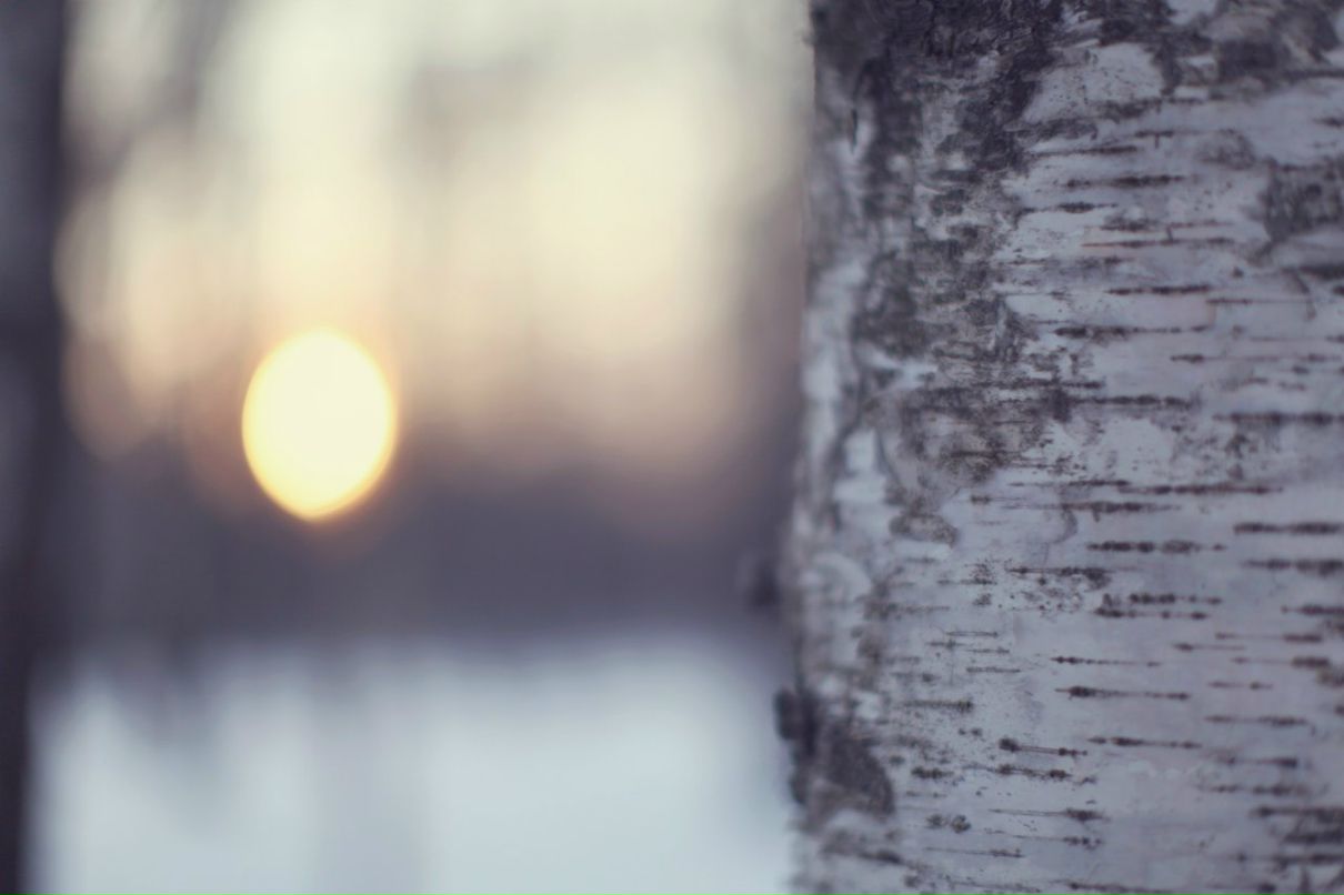 Инна Макеенко | Москва