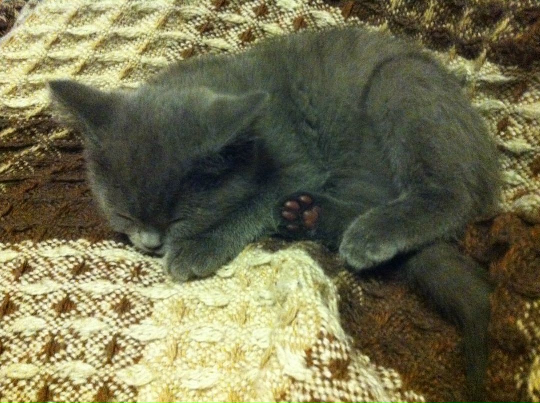 Мария Никитина | Москва