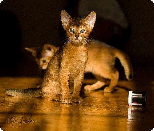 Мария Великих | Краснодар