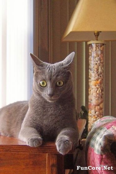 Светлана Панфилова | Кировск