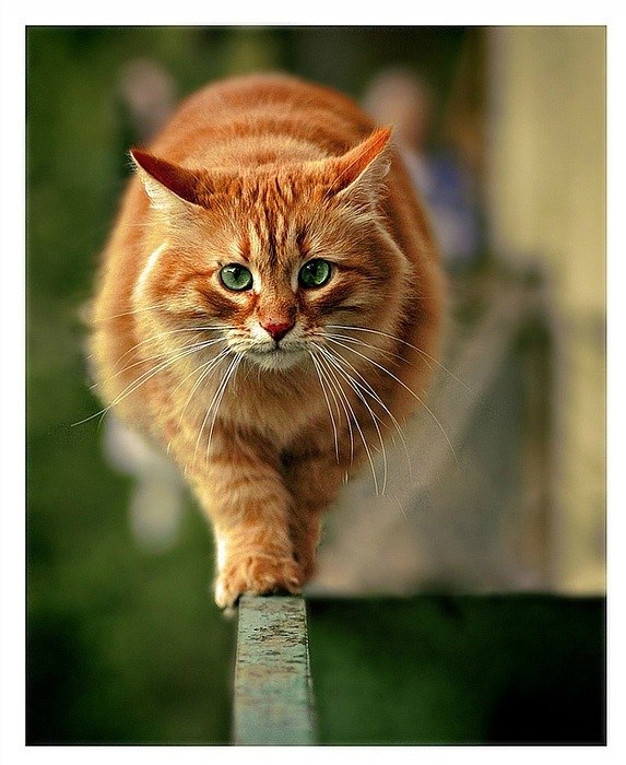 Марат Х | Казань