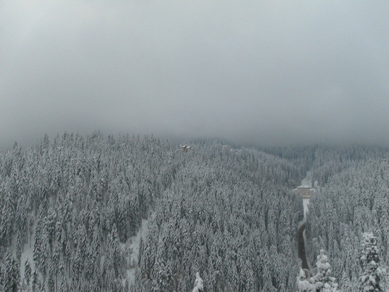 Вадим Среднёв | Chonburi