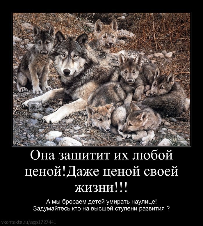 Ирина Павлова | Рыбинск