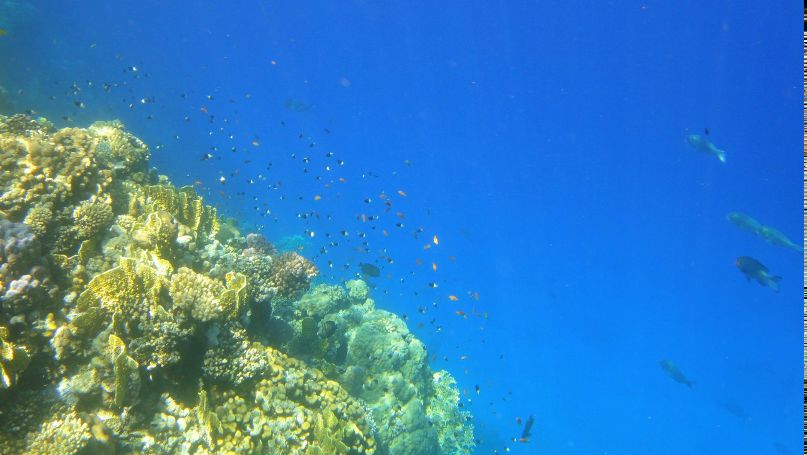 Даниил Шурпетов | Ростов-на-Дону