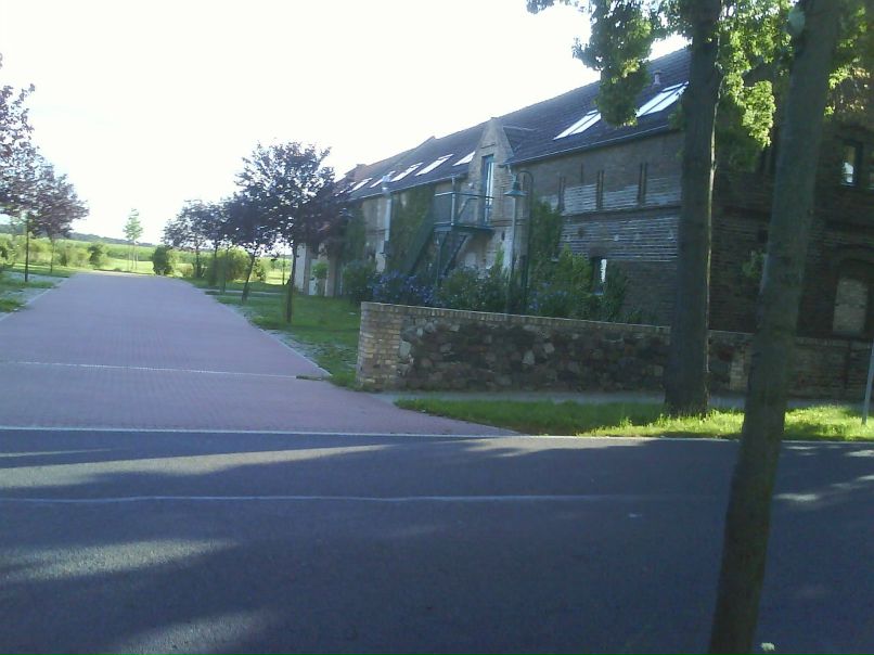 Владимир Бардашевич | Почеп