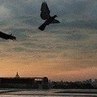Василь Слободян Миколайович | Житомир