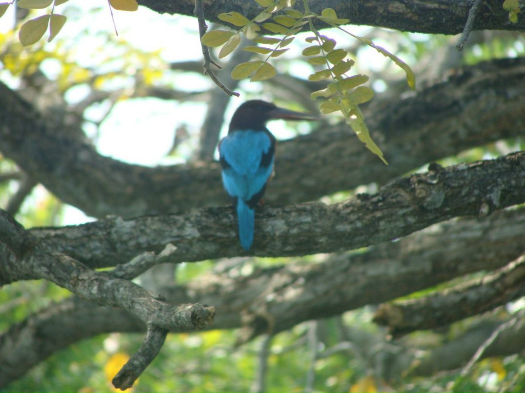 Денис Дмитриев | Одесса
