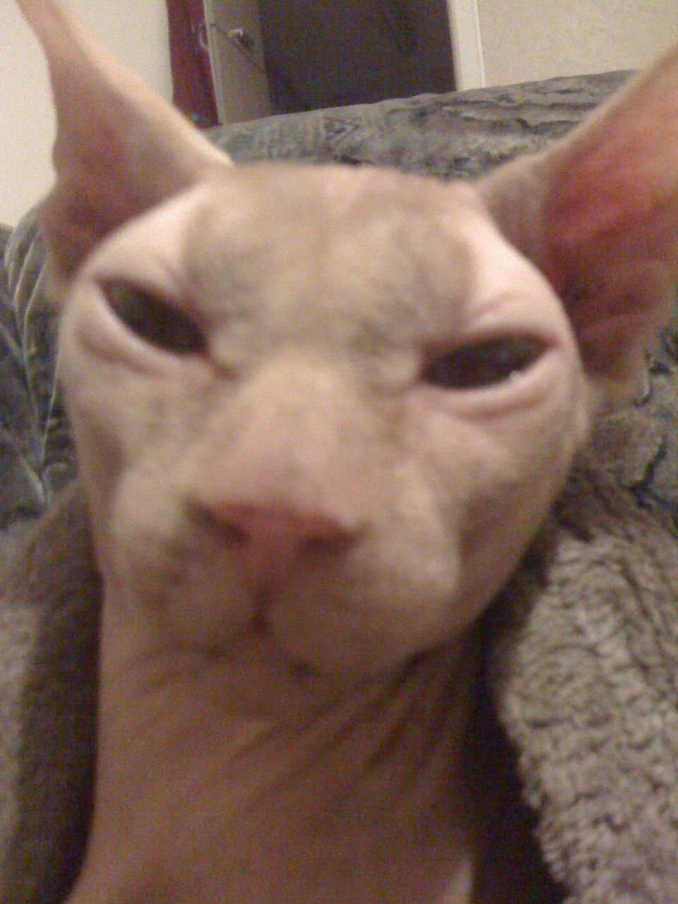 Андрей Тюрюмов | 