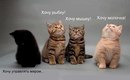 Аурика Кузнецова, Магадан, Россия, 03.11
