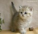 Екатерина Каменская фотография #33